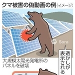 　クマ被害の偽動画の例