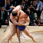 　藤ノ川（右）が寄り切りで獅司を破る＝福岡国際センター