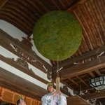 　奈良県桜井市の大神神社でかけ替えられた大杉玉＝１３日午前