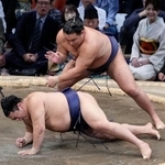 　豊昇龍（上）がはたき込みで平戸海を下す＝福岡国際センター