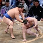 　安青錦（右）が送り倒しで若隆景に敗れる＝福岡国際センター