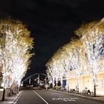 　バイオディーゼル燃料を使ったイルミネーションの試験点灯＝１３日深夜、大阪市此花区のＵＳＪ