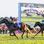 　第５０回エリザベス女王杯を制したレガレイラ（左）と２着のパラディレーヌ＝京都競馬場