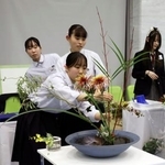 　「Ｉｋｅｎｏｂｏ　花の甲子園」の全国大会で３連覇を果たした岐阜県立岐阜商業高＝１６日午後、京都市中京区