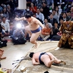 　玉鷲（下）をはたき込みで下した大の里＝福岡国際センター