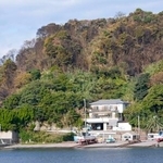 　大分市佐賀関の火災現場近くの漁港で、いけすから関サバを引き揚げる漁業者＝２０日午前９時５２分