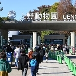 　多くの人でにぎわう上野動物園の正門＝２２日午前、東京都台東区