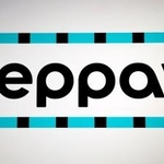 　コード決済サービス「ｔｅｐｐａｙ（テッペイ）」のロゴ