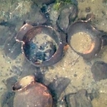 　琵琶湖にある葛籠尾崎湖底遺跡で確認された古墳時代中期の土師器の甕（滋賀県提供）