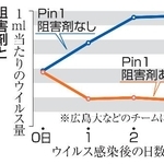 　阻害剤とヘルペスウイルス量の変化
