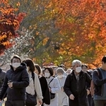 　皇居・乾通りの一般公開が始まり、紅葉を楽しむ人たち＝２９日午前