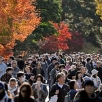 　皇居・乾通りの一般公開が始まり、紅葉を楽しむ人たち＝２９日午前