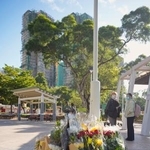 　大規模火災が起きた香港北部の高層住宅群近くに手向けられた花束＝２９日（共同）