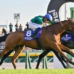 　第４５回ジャパンカップを制したミカエル・バルザローナ騎乗のカランダガン＝東京競馬場