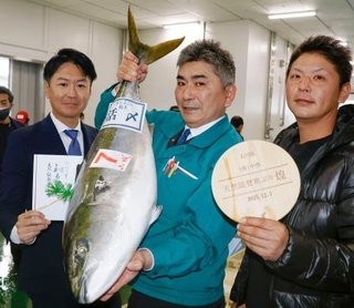 　４００万円で競り落とされた「能登寒ブリ」の高級ブランド「煌」＝１日午前、金沢市