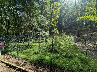 　宮崎県椎葉村の九州大宮崎演習林に設置されたシカの防除柵＝２０２２年８月（九州大大学院・阿部隼人助教提供）