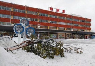 　大雪の影響で折れた街路樹の一部＝１５日午前、ＪＲ釧路駅前
