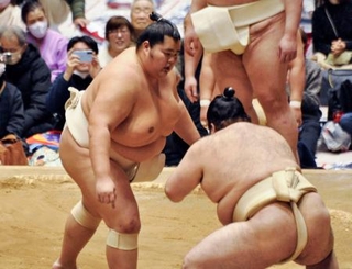 　大相撲冬巡業のぶつかり稽古で胸を出す琴桜（左）＝東京都町田市