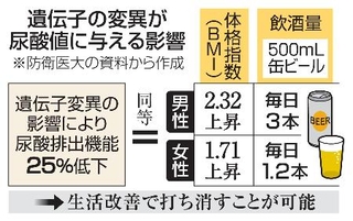　遺伝子の変異が尿酸値に与える影響