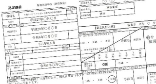 　障害年金について医師の判定結果を記す「認定調書」の記載例（厚労省の資料より）。日本年金機構が一部のケースでひそかに破棄していたことが分かった