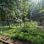 　宮崎県椎葉村の九州大宮崎演習林に設置されたシカの防除柵＝２０２２年８月（九州大大学院・阿部隼人助教提供）