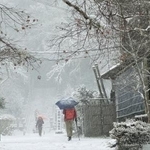 　初冠雪が観測された金剛山の山頂付近＝５日午前、奈良県御所市