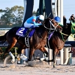 　第２６回チャンピオンズカップを制したダブルハートボンド（左）＝中京競馬場