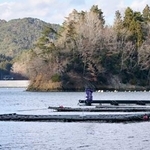 　養殖いかだ＝１０日、宮城県気仙沼市