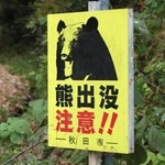 　クマへの注意を呼びかける看板＝１１月、秋田市