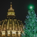 　サンピエトロ広場で点灯されたクリスマスツリー＝１５日、バチカン（ゲッティ＝共同）