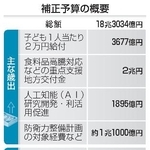 　補正予算の概要