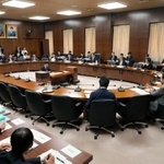 　選挙制度の在り方を検討する与野党協議会＝１７日午後、国会