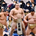 　冬巡業に臨む安青錦（中央）＝神奈川県小田原市