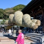 　福岡県福津市の宮地嶽神社で行われた大しめ縄のかけ替え＝２０日午前