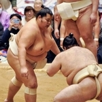 　大相撲冬巡業のぶつかり稽古で胸を出す琴桜（左）＝東京都町田市