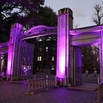 　紫色にライトアップされた東大本郷キャンパス正門＝２２日午後