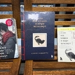 　モスクワ中心部の書店に並ぶ川村元気さんの小説「世界から猫が消えたなら」の翻訳本。同一出版社からさまざまなサイズで販売されている＝２２日（共同）