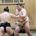 　稽古中、左肩の状態を確認する横綱大の里＝茨城県阿見町の二所ノ関部屋