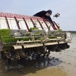 　水を張った田んぼの中を進む田植え機＝５月、秋田県大潟村