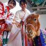 　大阪・新世界の通天閣で行われた干支の引き継ぎ式で、対面したコーンスネークとポニー＝２６日午前