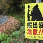 　秋田市の林道でクマへの注意を呼びかける看板＝１１月