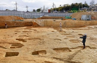 　長岡宮跡で見つかった大型掘っ立て柱建物跡の一部＝８日午後、京都府向日市