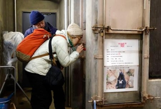 　盛岡市動物公園ＺＯＯＭＯで、冬眠中のクマを観察する「冬眠ガイド」の参加者。奥は飼育係の丸山正樹さん＝１０日