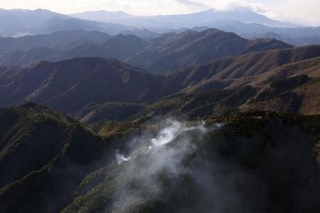 　神奈川県秦野市の山中で発生した火災＝１１日