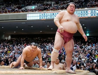 　大栄翔にはたき込みで敗れた豊昇龍（左）＝両国国技館