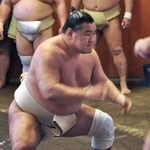 　出羽海一門の連合稽古に臨んだ豊昇龍＝出羽海部屋