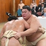 　稽古総見で汗を流す大の里＝東京・両国国技館の相撲教習所（代表撮影）