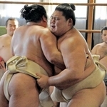 　境川部屋へ出稽古し、幕内平戸海（左）と相撲を取る横綱大の里＝東京都足立区