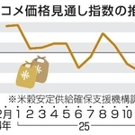 　コメ価格見通し指数の推移