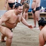 　ぶつかり稽古で胸を出す朝乃山＝８日、東京都墨田区の高砂部屋